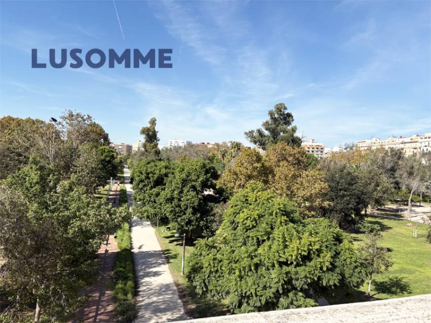 Descripción 475 - Dúplex en venta en el barrio del Carmen, Ciutat Vella.

Vivienda segundo piso, en edificio de 2013 con ascensor.

Dúplex de 129 m² c